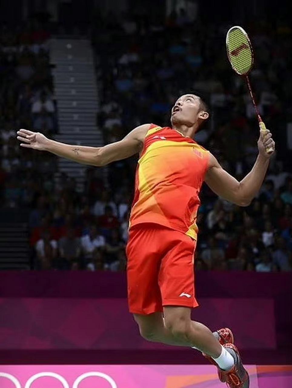 球队在阵容 球队在阵容